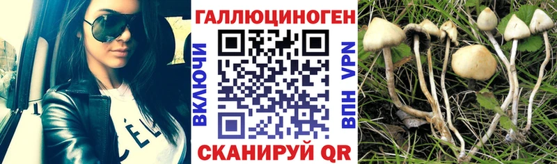 Псилоцибиновые грибы ЛСД  наркота  это телеграм  Хвалынск 